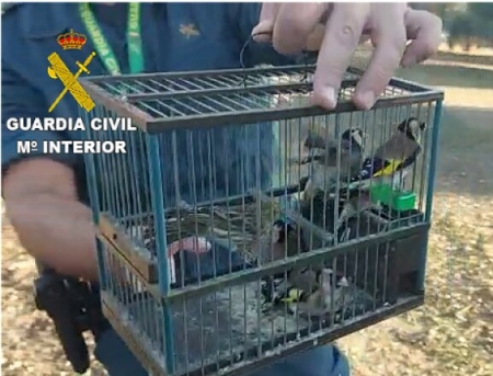 Un agente de la Guardia CIvil con las aves (GUARDIA CIVIL)
