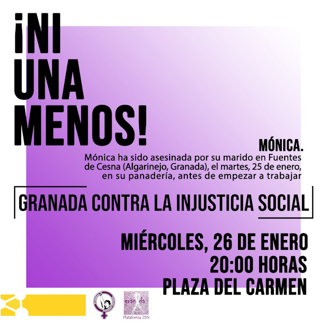 PLATAFORMA 8 DE MARZO Y 25 DE NOVIEMBRE