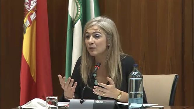 Patricia del Pozo en la Comisión de Cultura, en imagen de archivo (PARLAMENTO DE ANDALUCÍA) 