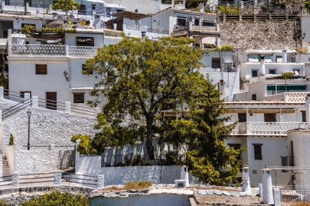 Imagen de Pampaneira (AYTO. PAMPANEIRA)