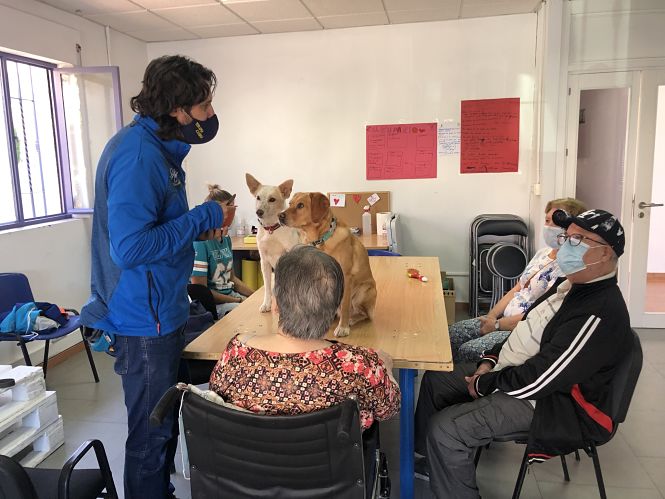 Terapia caninas para mayores (AYTO. CHURRIANA)