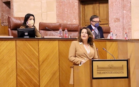 Intevención De La Consejera Carmen Crespo En El Debate A La Totalidad De La Ley De Economía Circular (JUNTA)