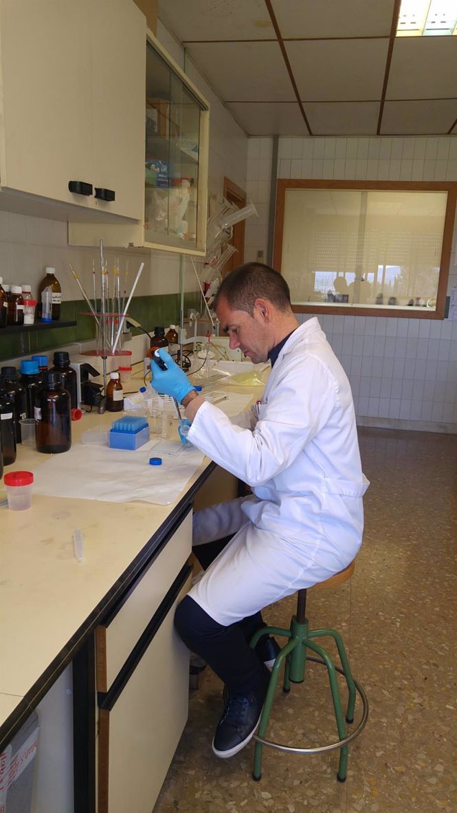 Investigador y profesor de la Universidad de Granada. (UGR) 