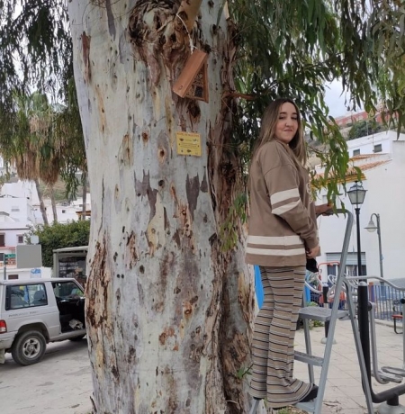 Red de `refugios para insectos` (AYUNTAMIENTO) 