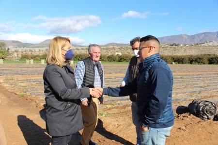 Imagen de la visita a uno de los huertos (AYTO. MOTRIL)
