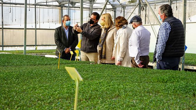 Imagen de la visita a Hortoplant (AYTO. MOTRIL)