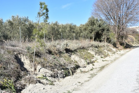 Estado de la via verde (AYTO. BAZA)