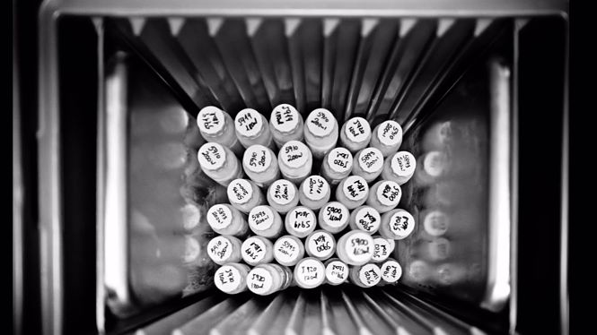 Banco de leche materna (UGR)