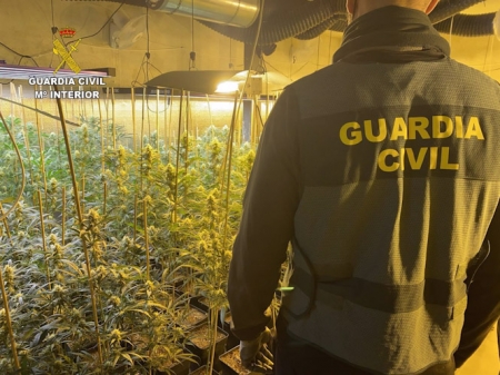Imagen de archivo de una plantación de marihuana (GUARDIA CIVIL)
