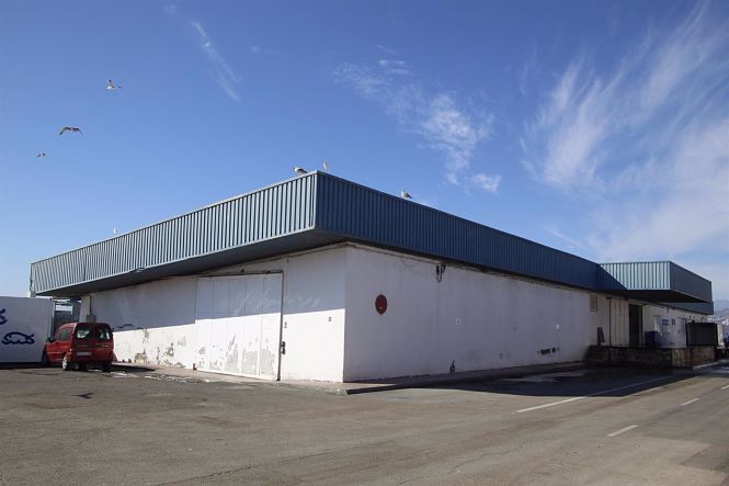 Exteriores de la actual lonja pesquera de Motril (PUERTO DE MOTRIL)