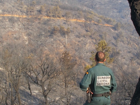 Un agente del Seprona en el lugar de un incendio (GUARDIA CIVIL) 