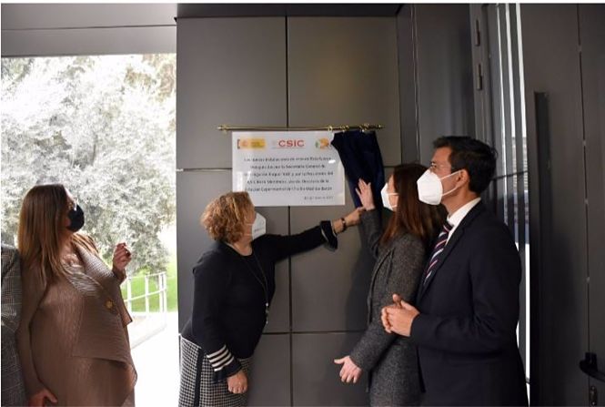 Raquel Yotti y Rosa Ménendez han sido las encargadas de descubrir la placa conmemorativa (CSIC) 