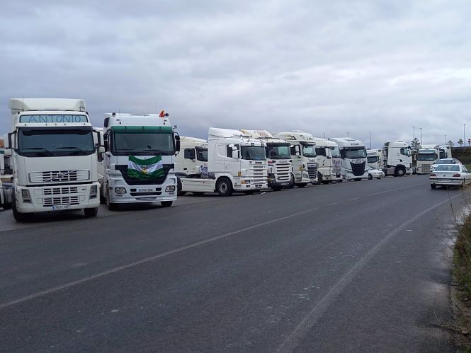 Camiones a la entrada de Granada (PLATAFORMA EN DEFENSA DEL SECTOR DEL TRANSPORTE)