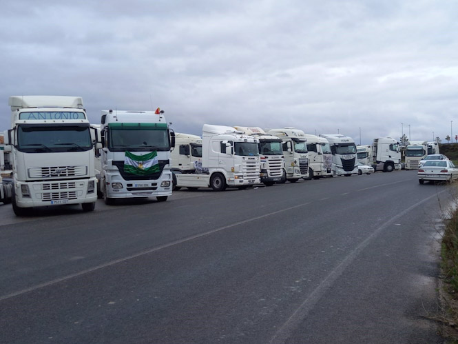 Camiones a la entrada de Granada, en imagen de archivo (PLATAFORMA EN DEFENSA DEL SECTOR DEL TRANSPORTE) 