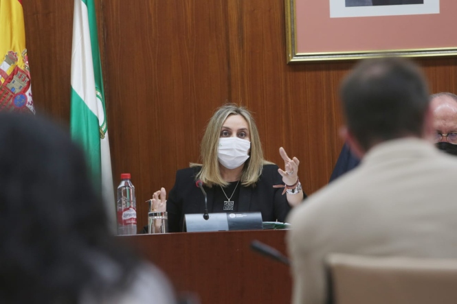 La Consejera, Marifran Carazo, durante la comsión de fomento (JUNTA)