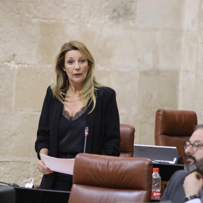 La parlamentaria andaluza de Cs, Concha Insua (CIUDADANOS)