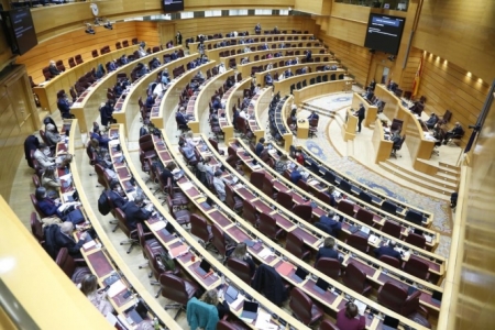 Sesión plenaria en el senado (PSOE)