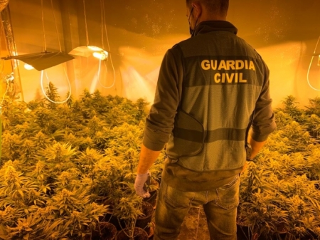 Agente de la Gaurdia CIvil en una de las plantaciones (GUARDIA CIVIL)