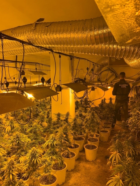 Un agente de la Guardia Civil en la plantación (GUARDIA CIVIL) 