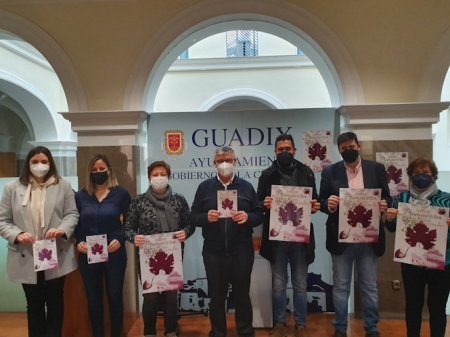 Presentación de la Feria de la Primavera (AYTO. GUADIX)