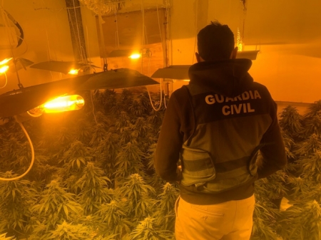 Un agente de la Guardia Civil en una de las plantaciones (GUARDIA CIVIL)