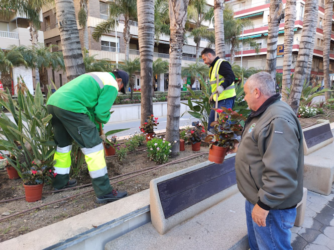 (AYUNTAMIENTO DE ALMUÑÉCAR)