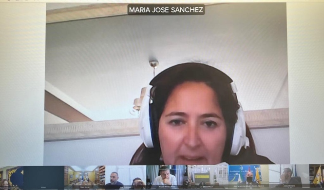 Imagen de la reunión telemática (MANCOMUNIDAD)