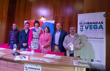 (AYUNTAMIENTO DE ARMILLA)