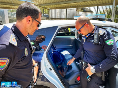 El perro fallecido en el vehículo de la Policía Local (POLICÍA LOCAL)