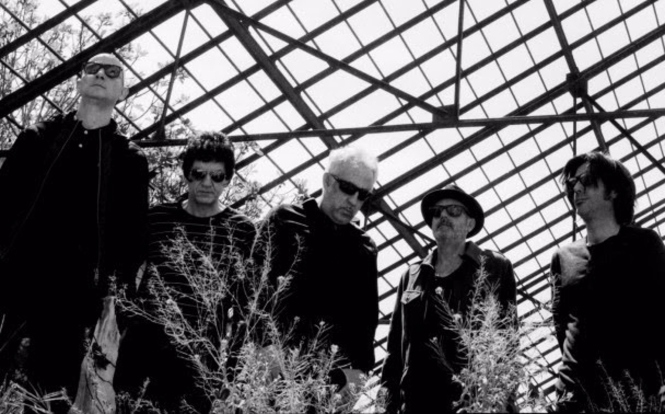 Lagartija Nick, en imagen de archivo (CONDEDUQUE)