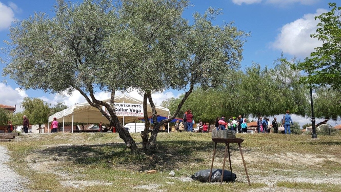 (AYUNTAMIENTO CÚLLAR VEGA) 