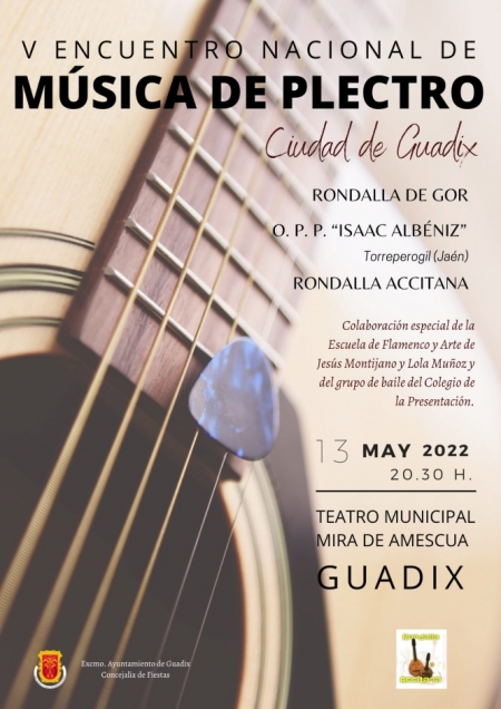 (AYUNTAMIENTO DE GUADIX) 