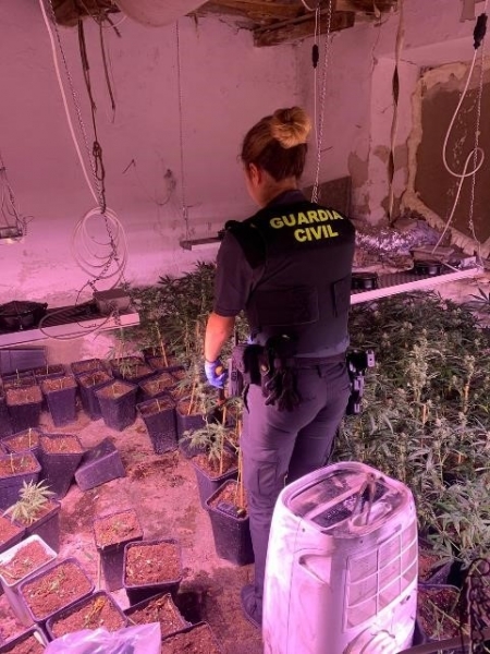 Agente de la Guardia CIvil en una de las plantaciones de marihuana (GUARDIA CIVIL)