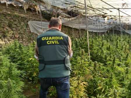 Agente de la Guardia Civil en la plantación de marihuana (GUARDIA CIVIL)