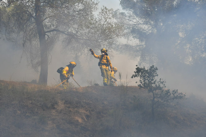 Bomberos del Infoca trabajando en la zona del incendio (INFOCA)
