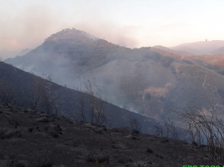 Lugar del incendio (INFOCA)