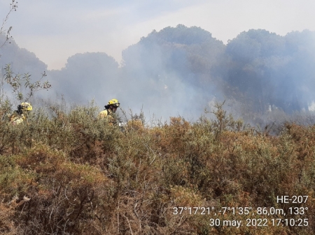 Miembros del Infoca trabajando en el lugar del incendio (INFOCA)