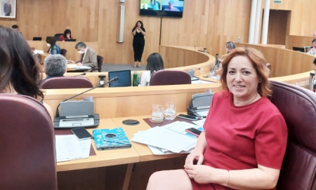 La Diputada Provincial de IU, Mari Carmen Pérez (IU)