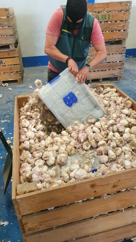 Cargamento de ajos donde Ia escondida la marihuana (GUARDIA CIVIL) 