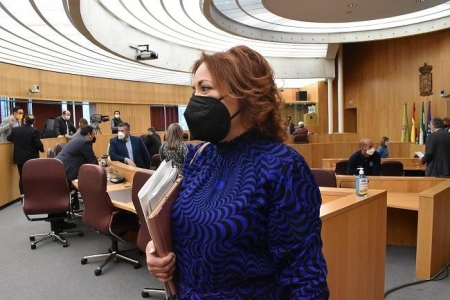 La coordinadora provincial de IU, Mari Carmen Pérez (IU) La coordinadora provincial de IU, Mari Carmen Pérez (IU)