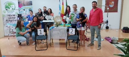 Concurso de Peluquería Canina para Perritos Mestizos o Adoptados (AYTO. VEGAS DEL GENIL) 