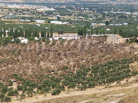 Efectos de un incendio junto al cementerio de Baza (AGAPRO)