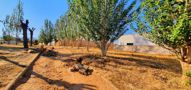 Imagen del parque (AYTO. CÚLLAR VEGA) 