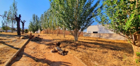 Imagen del parque (AYTO. CÚLLAR VEGA) 