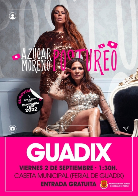 (AYUNTAMEINTO GUADIX)