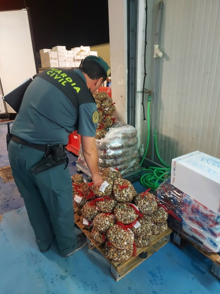 Un agente de la Guardia Civil con las almejas incautadas (GUARDIA CIVIL) 