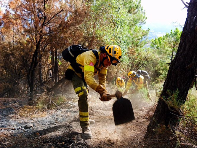 Bomberos forestales, en foto de archivo.(INFOCA)