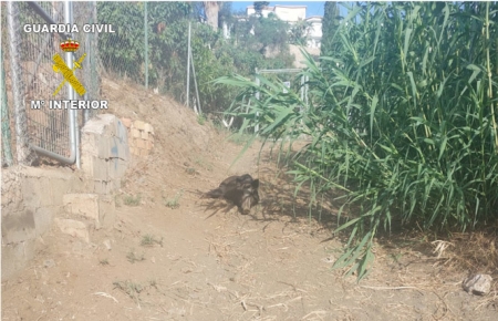 Imagen de la finca (GUARDIA CIVIL)