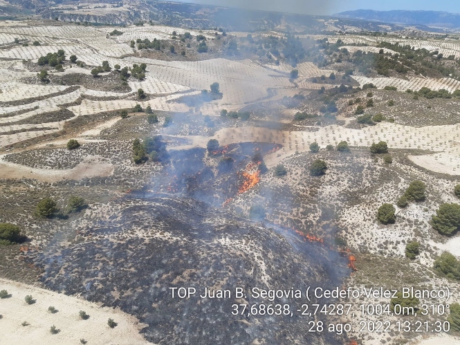 Imagen del incendio de Cortes de Baza (PLAN INFOCA) 