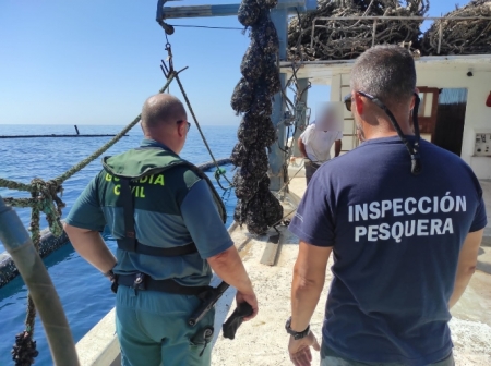 Mejillones incautados (GUARDIA CIVIL) 